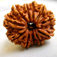 11  face rudraksha beads hyderabad